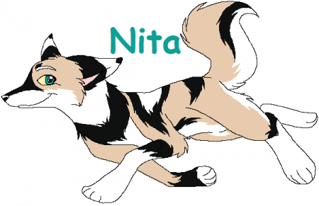 Detail Nita