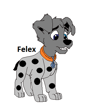 Detail Felex