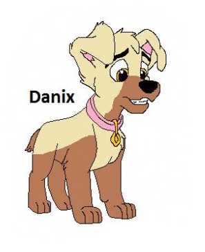 Detail Danix