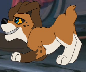 Detail Rollo