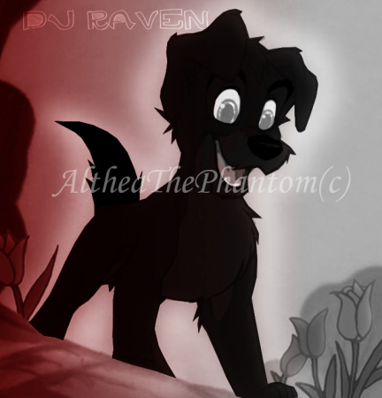 Detail Dj Raven 