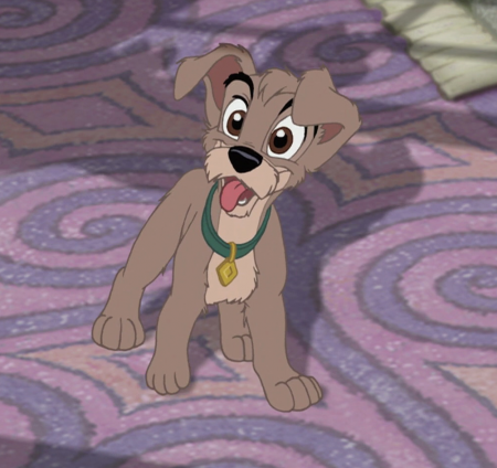 Detail Scamp