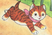 Detail Pumpkin (Book)