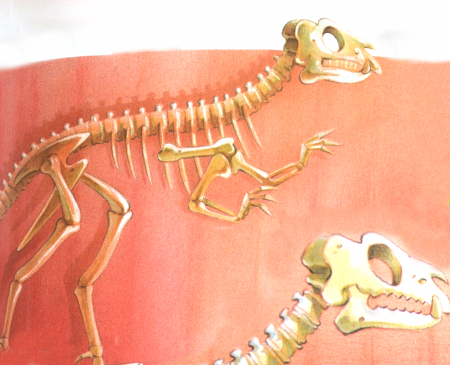Detail Dinosaur