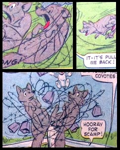 Detail The Coyotes
