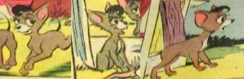Detail Chiquita