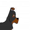 *Tucker*
