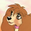 Petti