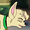 Barity (Tross)