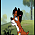 sassi