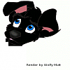 Black Scamp