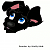 Black Scamp