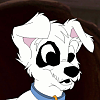 Jake (SM123)