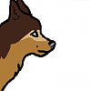 Kody (SM123)