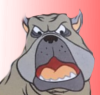 Fido