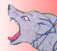 The Coyotes