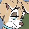 Lexi_Husky
