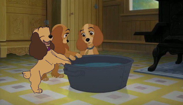 Bathtime :3