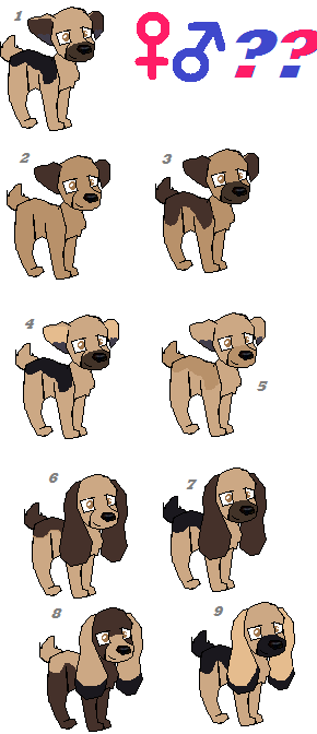 Ginger ~ T-bone pup designs ;3