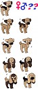 Ginger ~ T-bone pup designs ;3