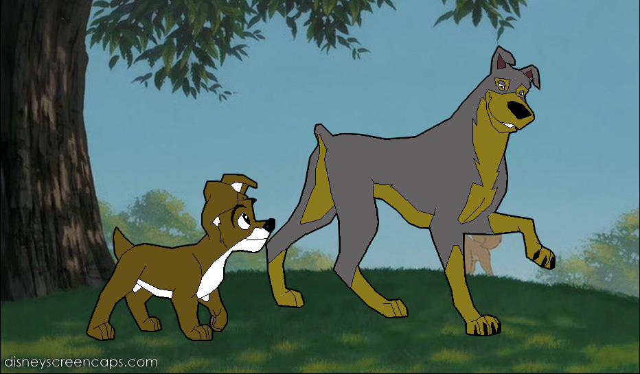 Travis and Bandit