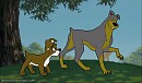 Travis and Bandit