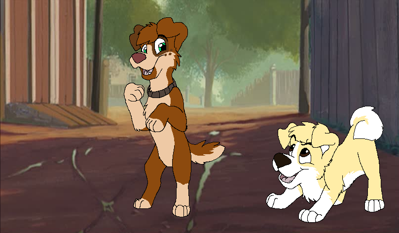 Trade with CommonDog!