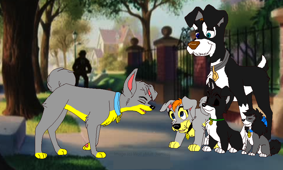 the family and the future pup