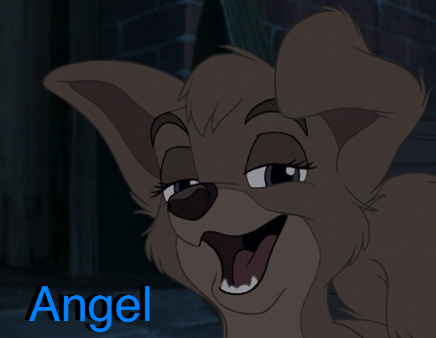 Angel Avvie no. 1