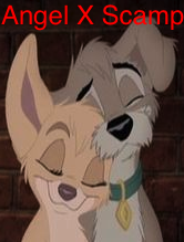 Angel X Scamp Avvie
