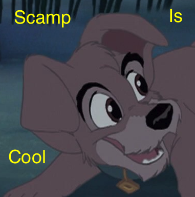 Scamp avvie