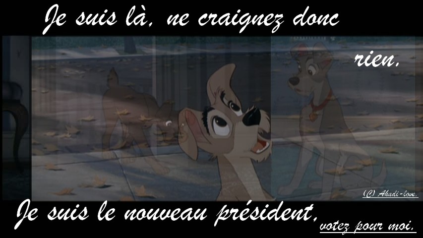 Clochard ? NON ! c'est un président !!