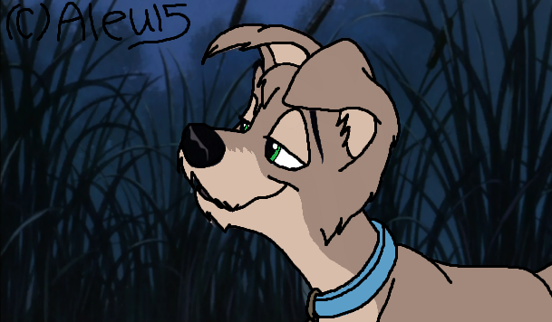 .::Jetto::.