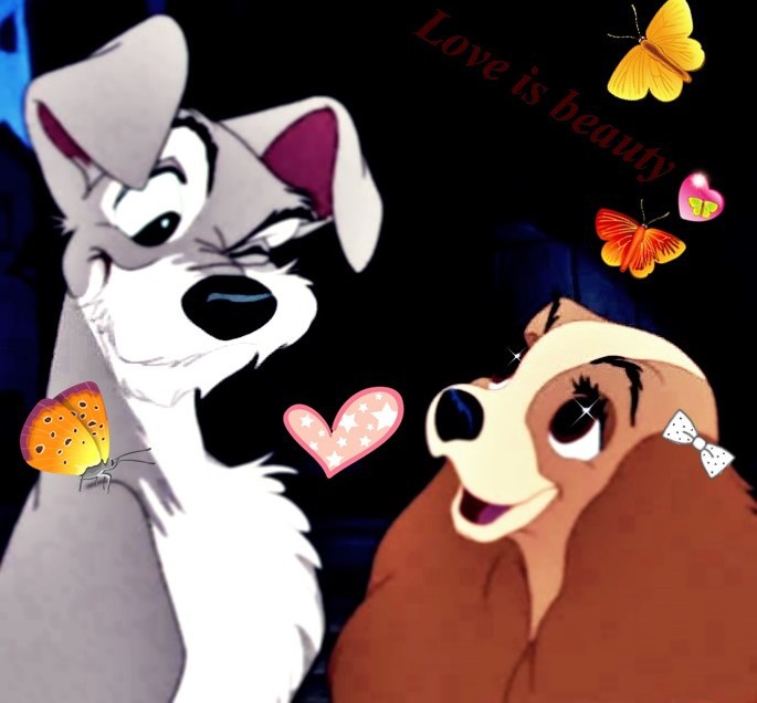 Love is beauty