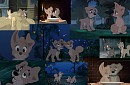 Puppy Love, is the only love thats true