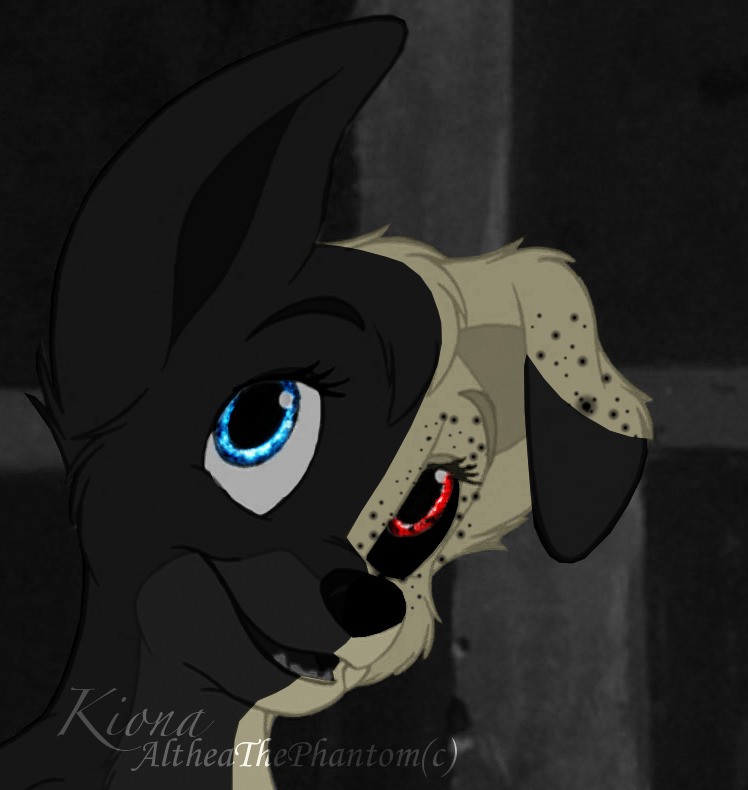 Kiona's Avatar c: 