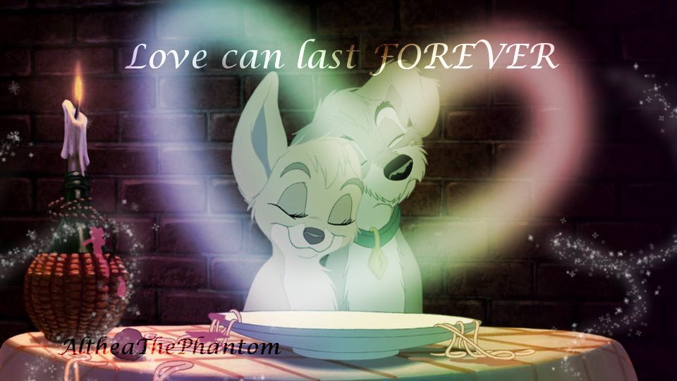 Love Can Last FOREVER