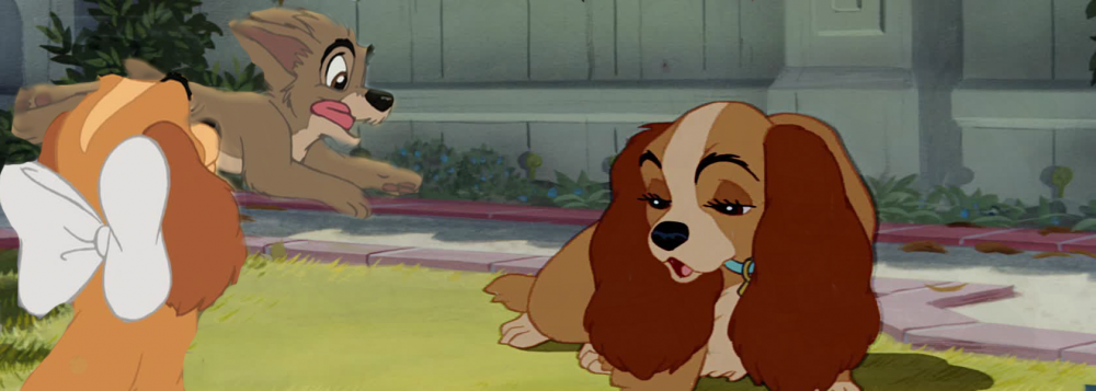 lady, prudence et Scamp
