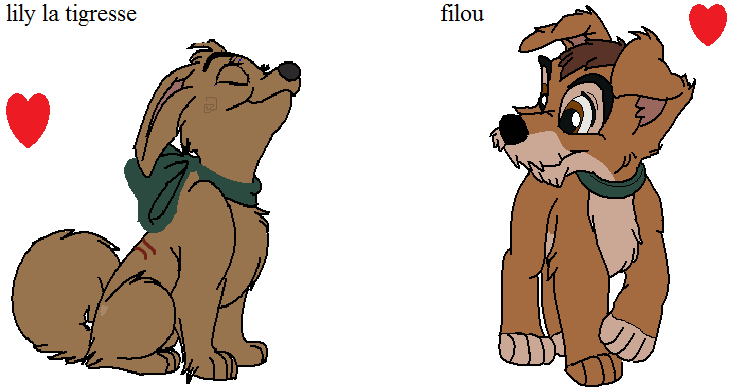 Lily' et filou