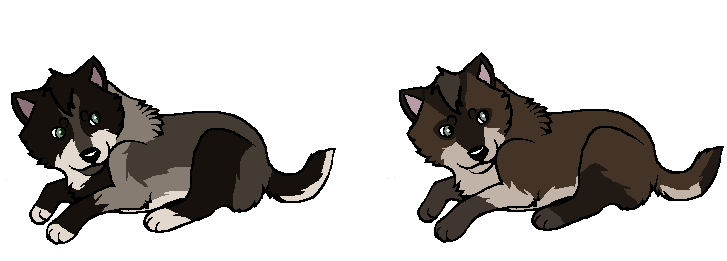 Fan pups