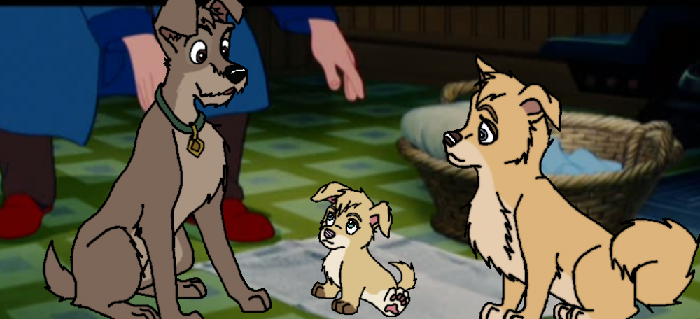 Adoption try