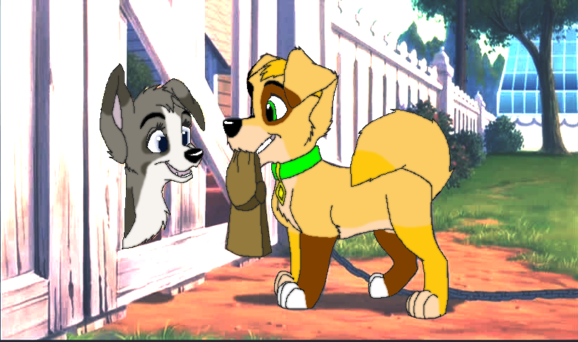 Their first meeting...