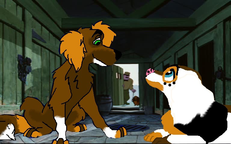 Kennel Love