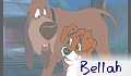 Bellah