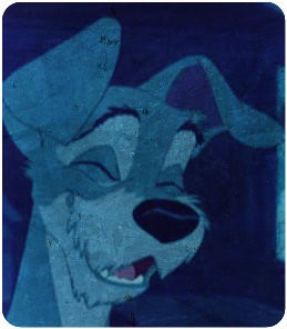 Tramp avatar