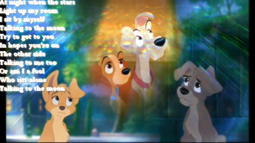 Talking to the Moon
