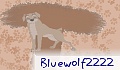 Bluewolf2222