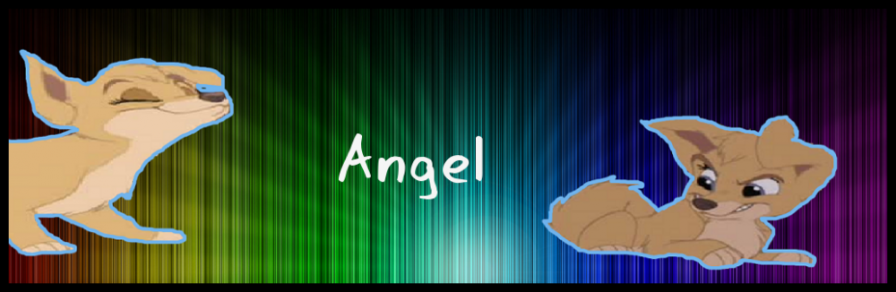 Angel Sig