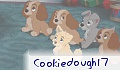 cookiedough17