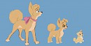 Angel puppy to adult